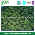Wholesale frozen spinach import